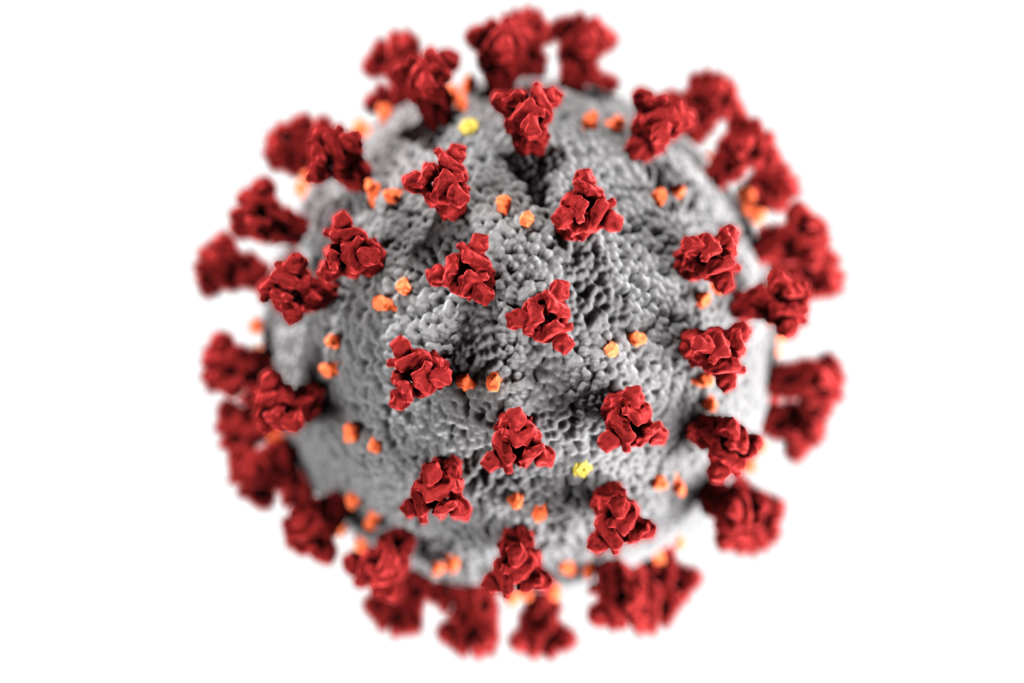 Roche testing for coronavirus and flu simultaneously